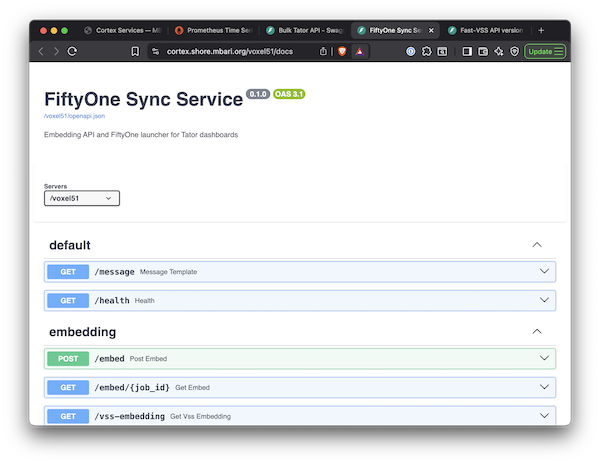 fastapi_fiftyonesync.png