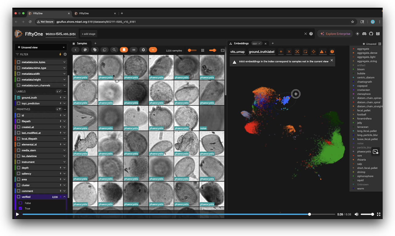 Screenshot of labeling tutorial