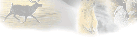 Bart of background image depicting caribou and a praire dog