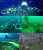 Fig. 2. Examples of FOCE experimental deployments in different habitats and regions