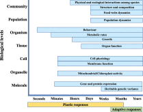 Fig. 3. Conceptual relationships between scale of biological organisation level and…