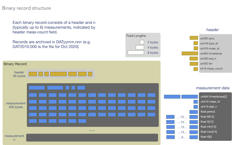 Binary Record Structure