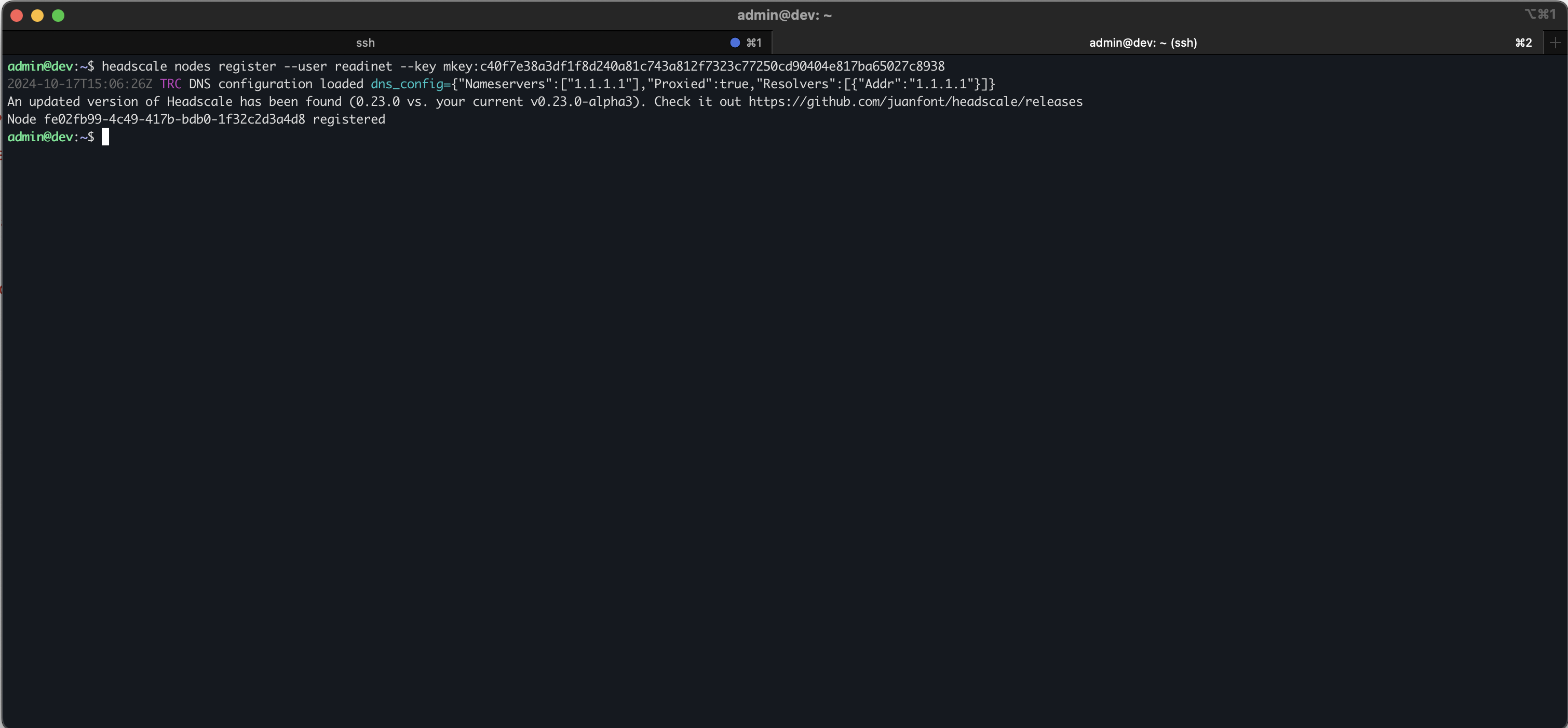 Headscale Command