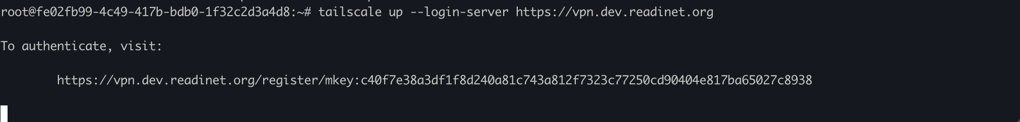Tailscale Command