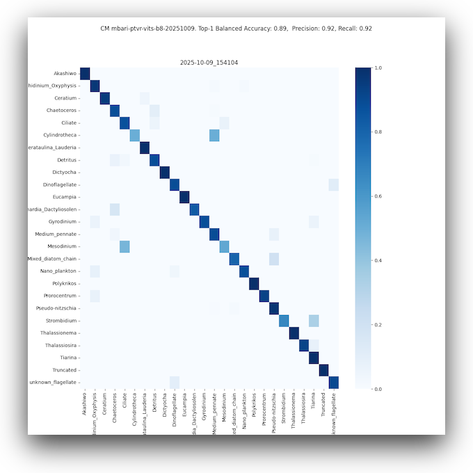 confusion_matrix_mbari-ptvr-vits-b8-20251009_2025-10-09_154104_sm.png