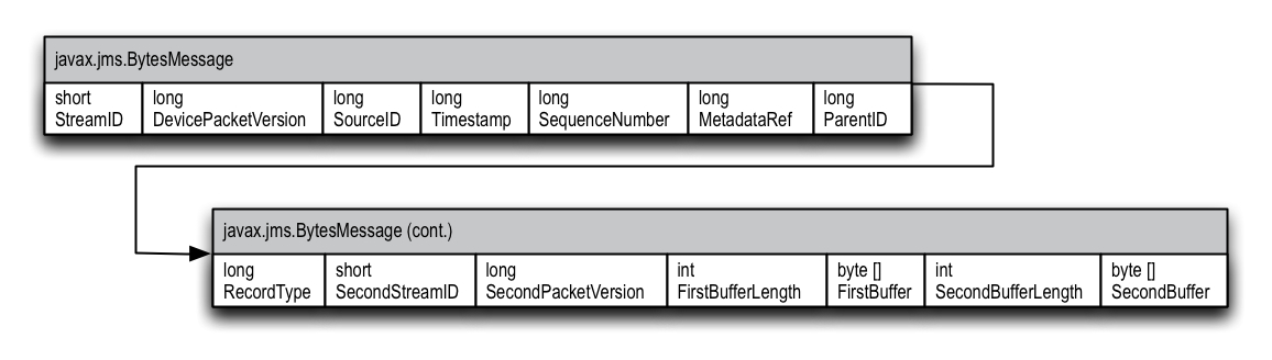 Bytes Message Format